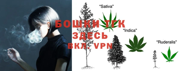 амф Новокубанск