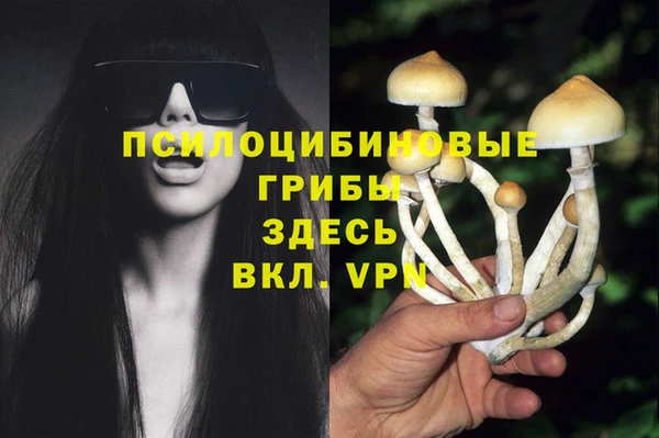 амф Новокубанск