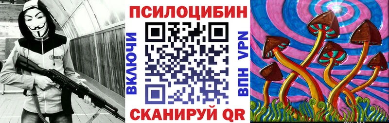 shop наркотические препараты  KRAKEN tor  Кадников  где продают   Псилоцибиновые грибы Magic Shrooms 