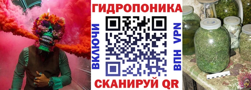 Конопля семена Кадников