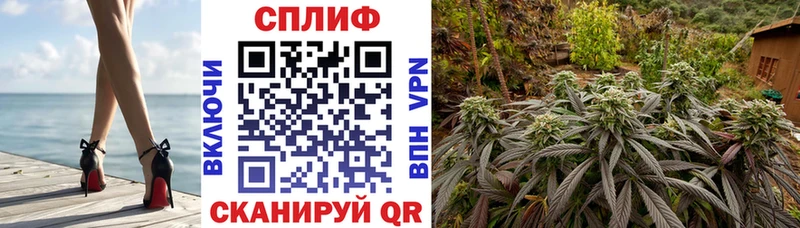 где купить наркотик  Кадников  Каннабис сатива 